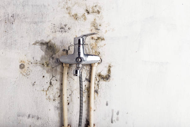 Best Water Damage Restoration  in Hutchison, VA