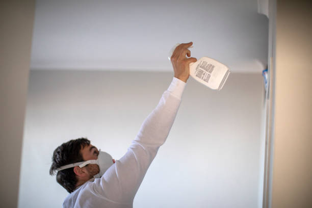 Best Local Mold Removal Service  in Hutchison, VA