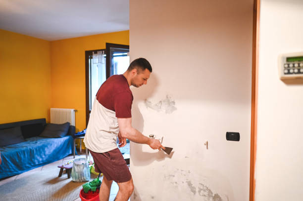 Best Mold Remediation  in Hutchison, VA